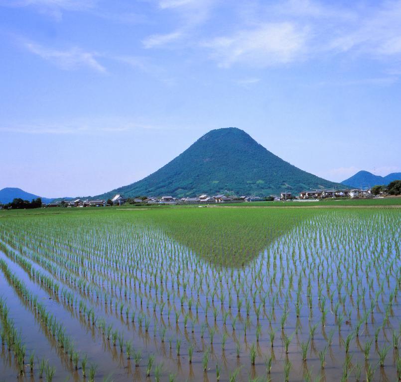 Takamatsu Tokyu Rei Hotel Экстерьер фото